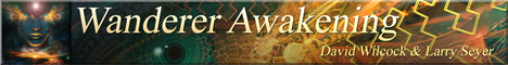 Wanderer Awakening Wanderer Awakening