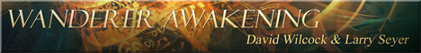 Wanderer Awakening Wanderer Awakening